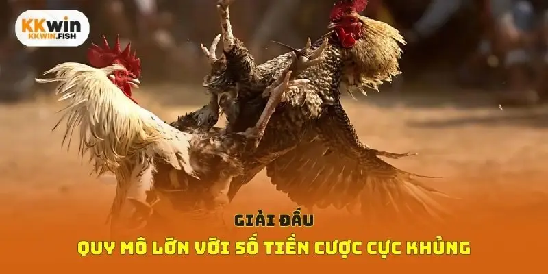 Giải đấu quy mô lớn với số tiền cược cực khủng