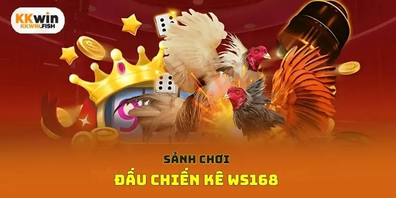 Sảnh chơi đấu chiến kê Ws168