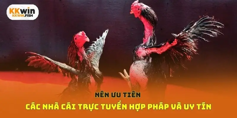 Nên ưu tiên các nhà cái trực tuyến hợp pháp và uy tín
